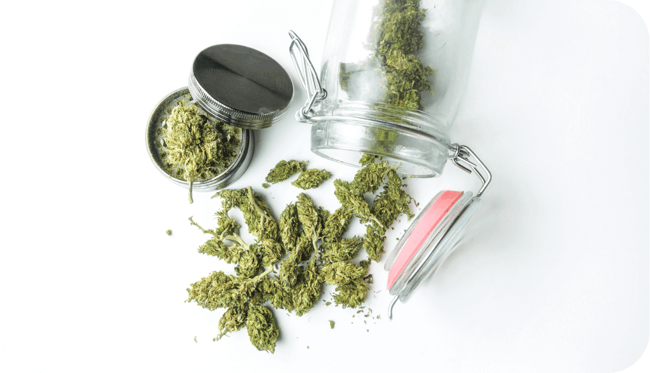 Draufsicht eines umgefallenen Einmachglas wo Cannbis Blüten rausfallen