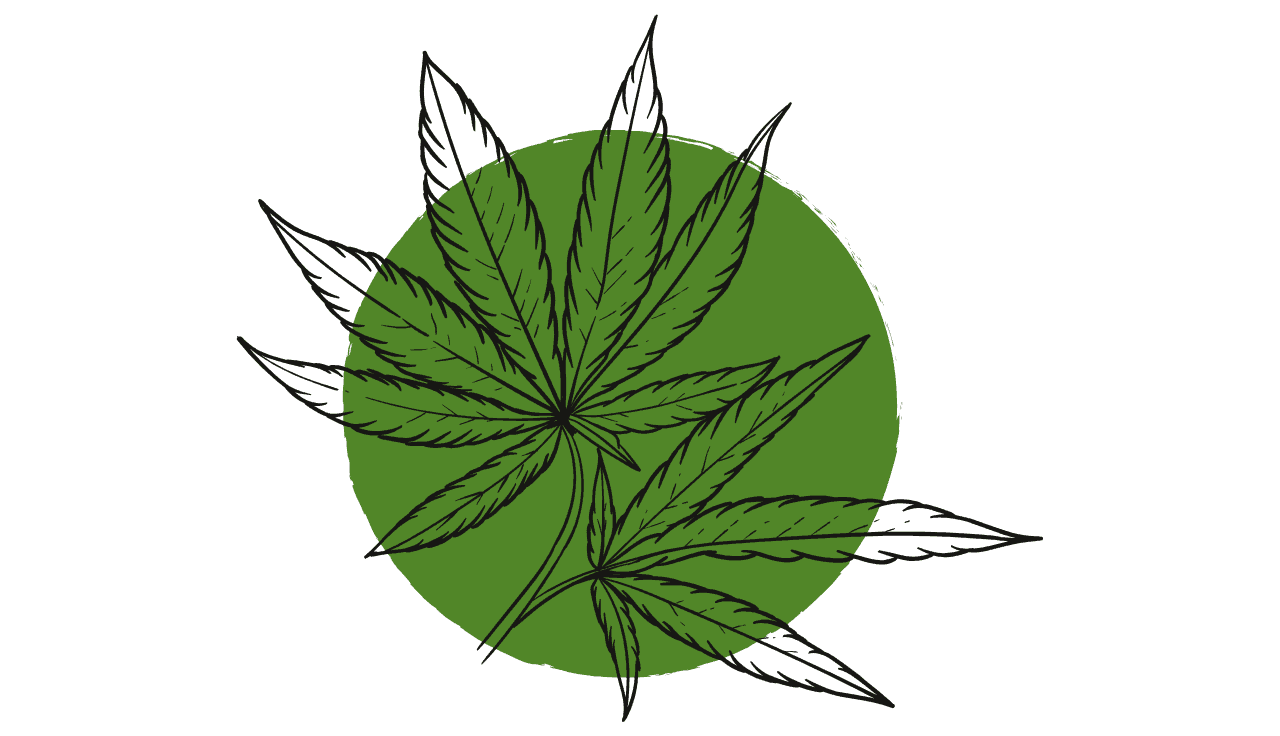 Cannabispflanzen Illustration  auf einem grünen Kreis